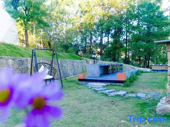 Zhangjiajie Cuiling Yishu Original Ecological Resort ( National Forest Park Zimugang Branch)
