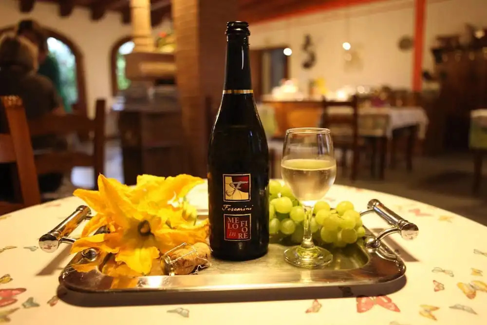 Agriturismo MELO IN FIORE con camere e colazioni nella zona del Prosecco DOCG Asolo