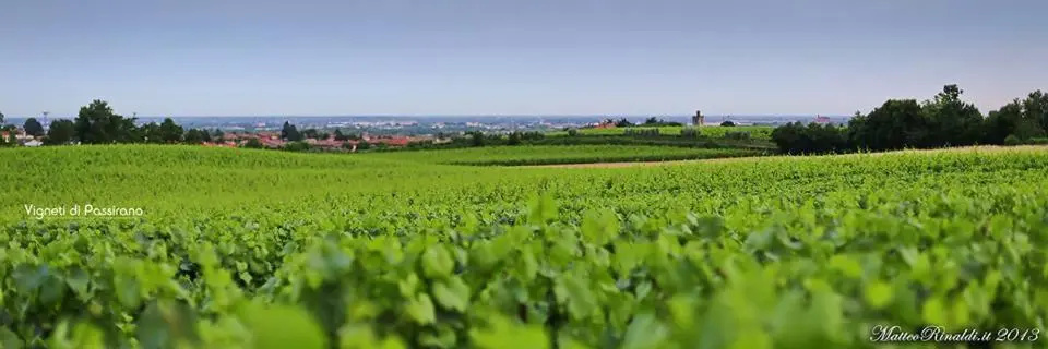 Wine & Lake In Franciacorta