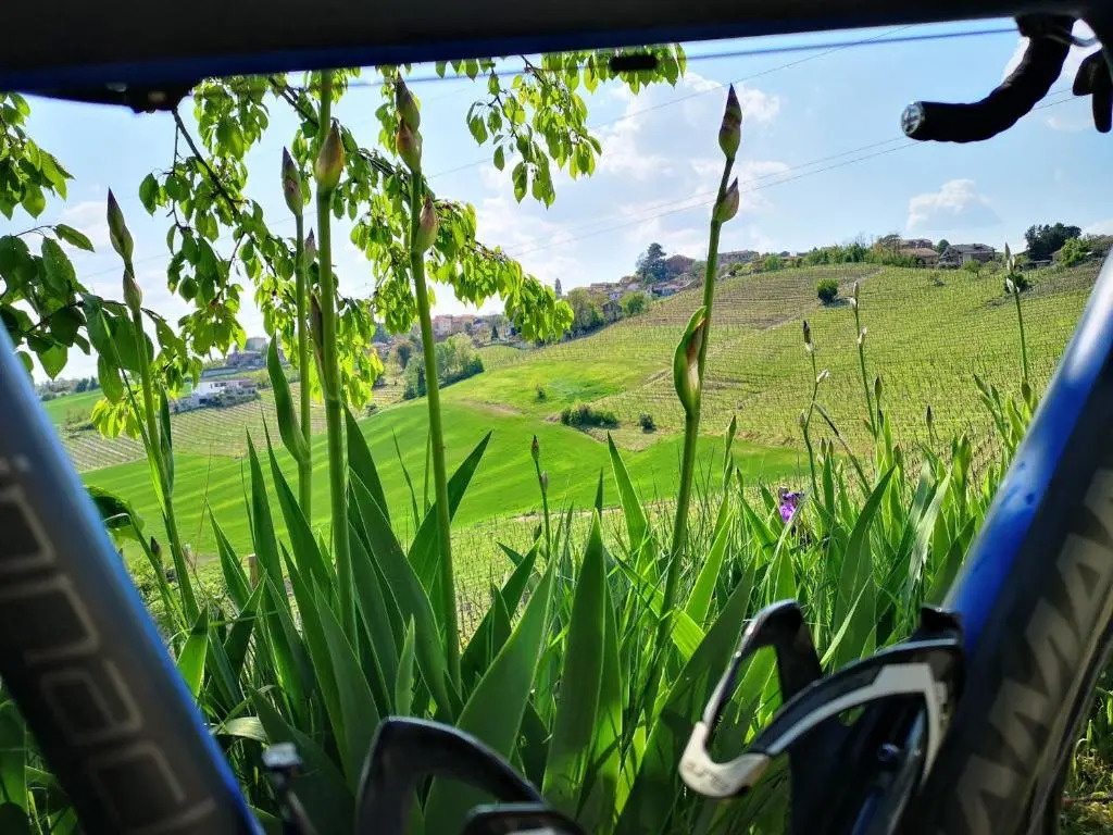 La Maggiorina