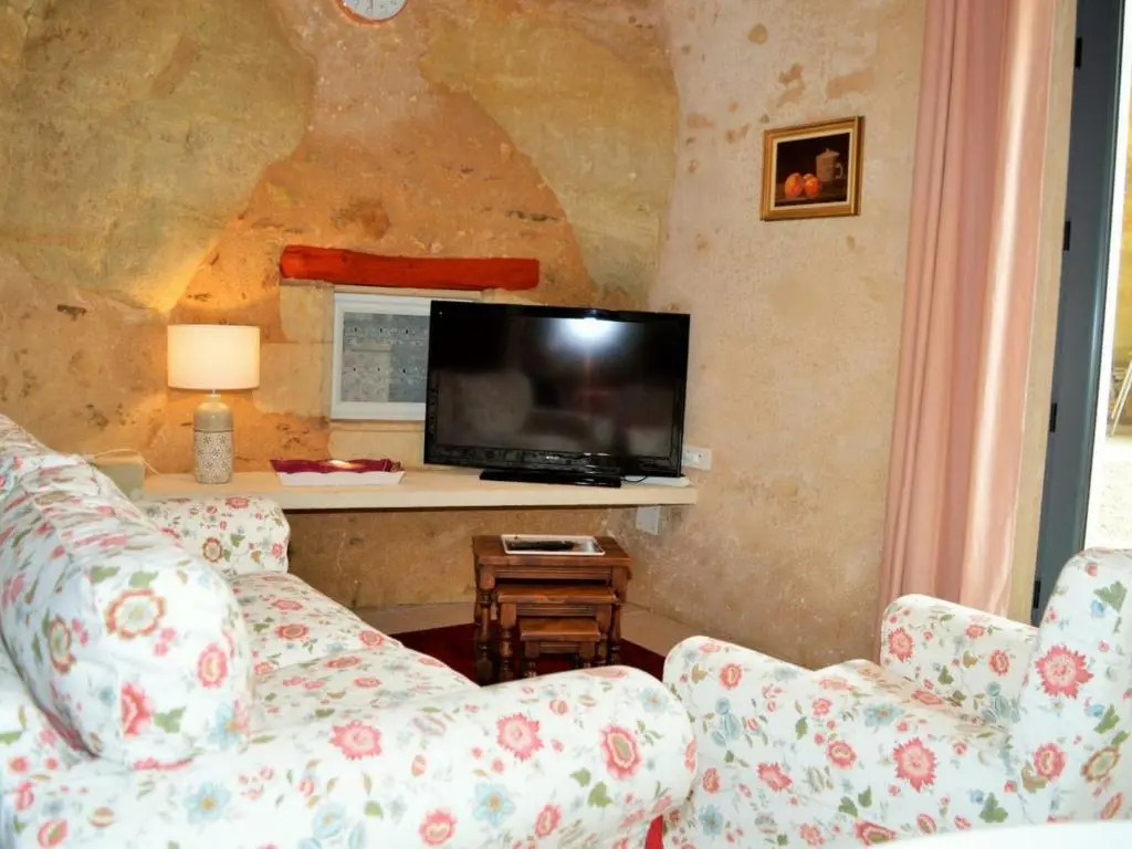 Gîte atypique avec garage et cour privée en Touraine - FR-1-381-280