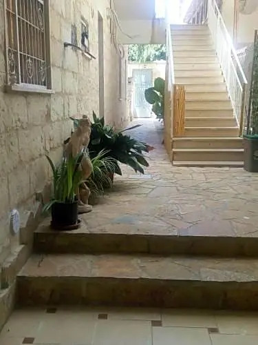 B&B Cuore del Palio