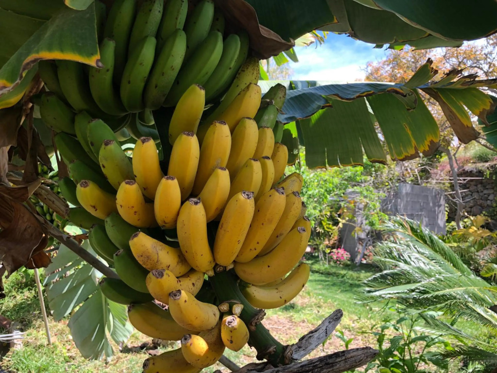 Tijarafe 2