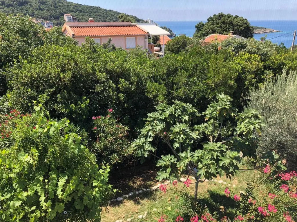 Axenia Hotel