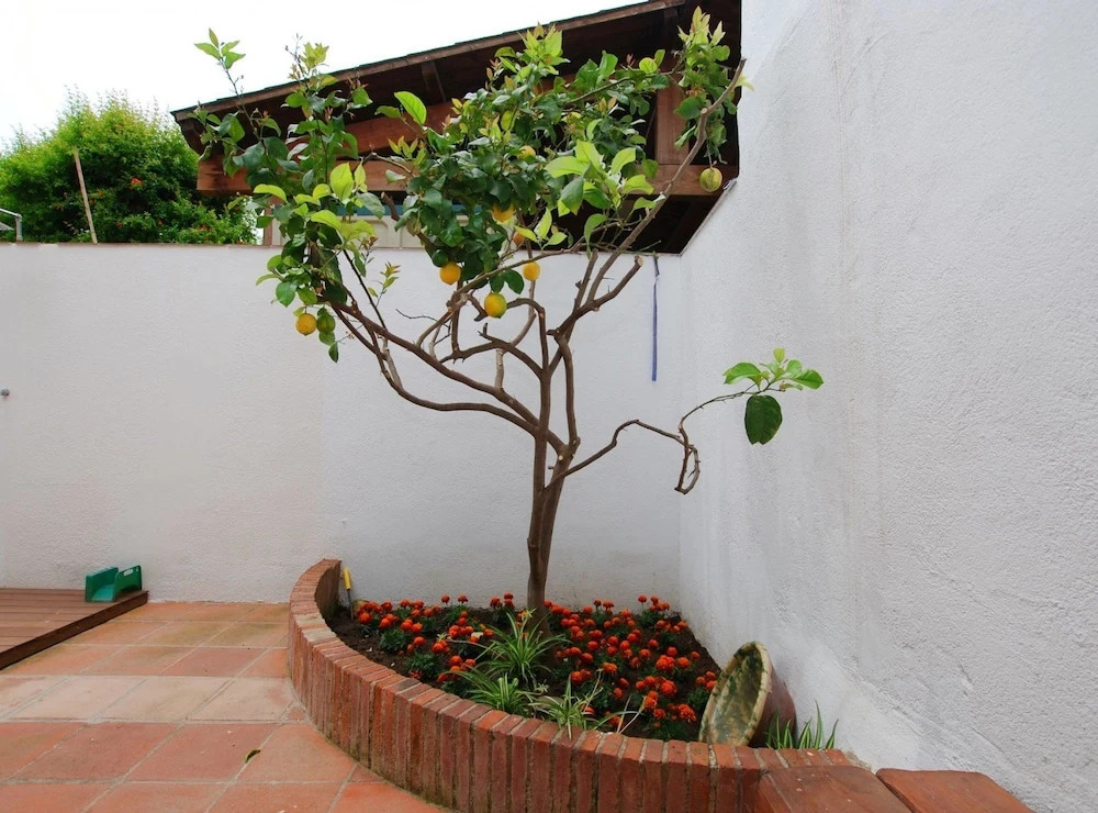 The Painter's Home