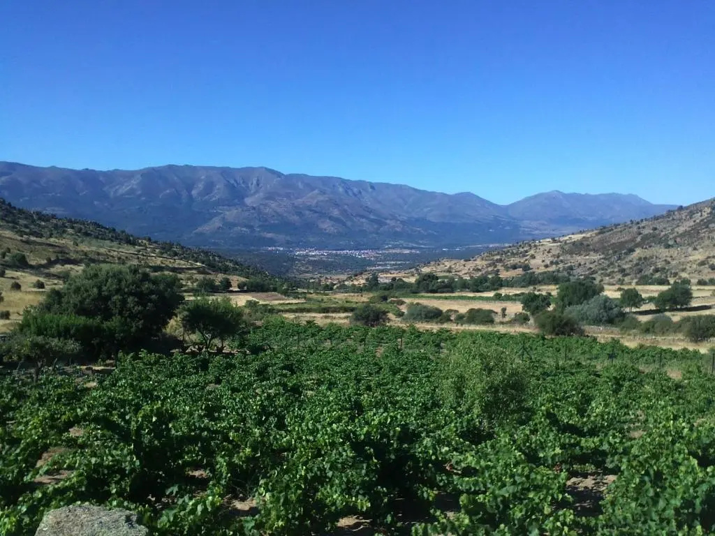 La Tahona Vieja