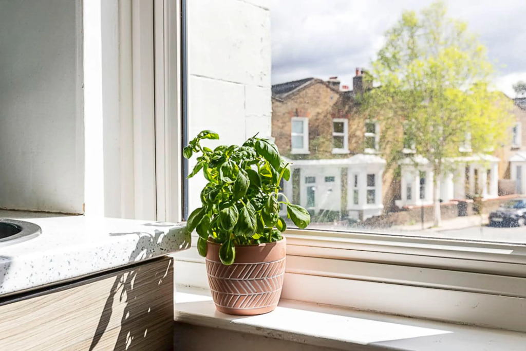 A Tranquil One-bedroom Flat Near Brockwell Park