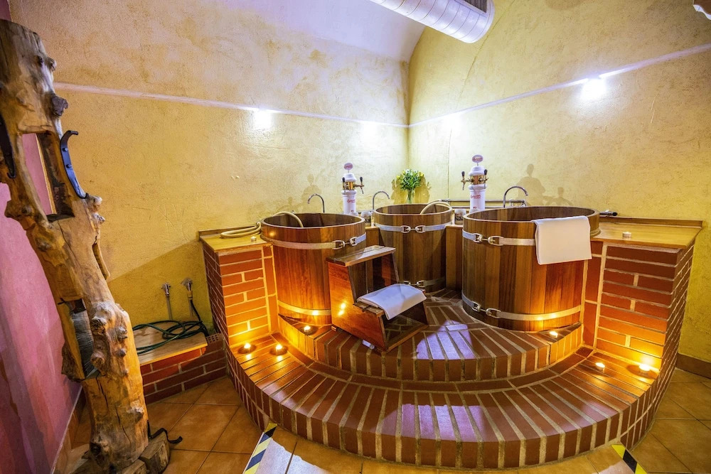 LH Hotel Dvořák Tábor Congress & Wellness