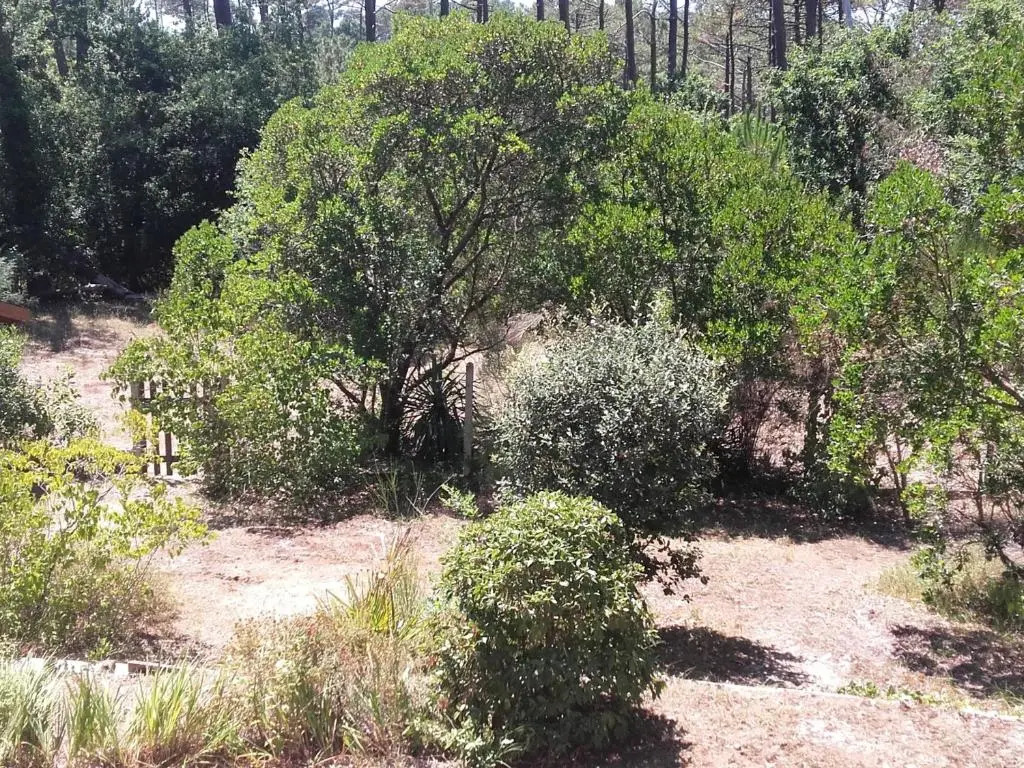 MAISON ARCACHON, 3 PIèCES, 5 PERSONNES - FR-1-319-383