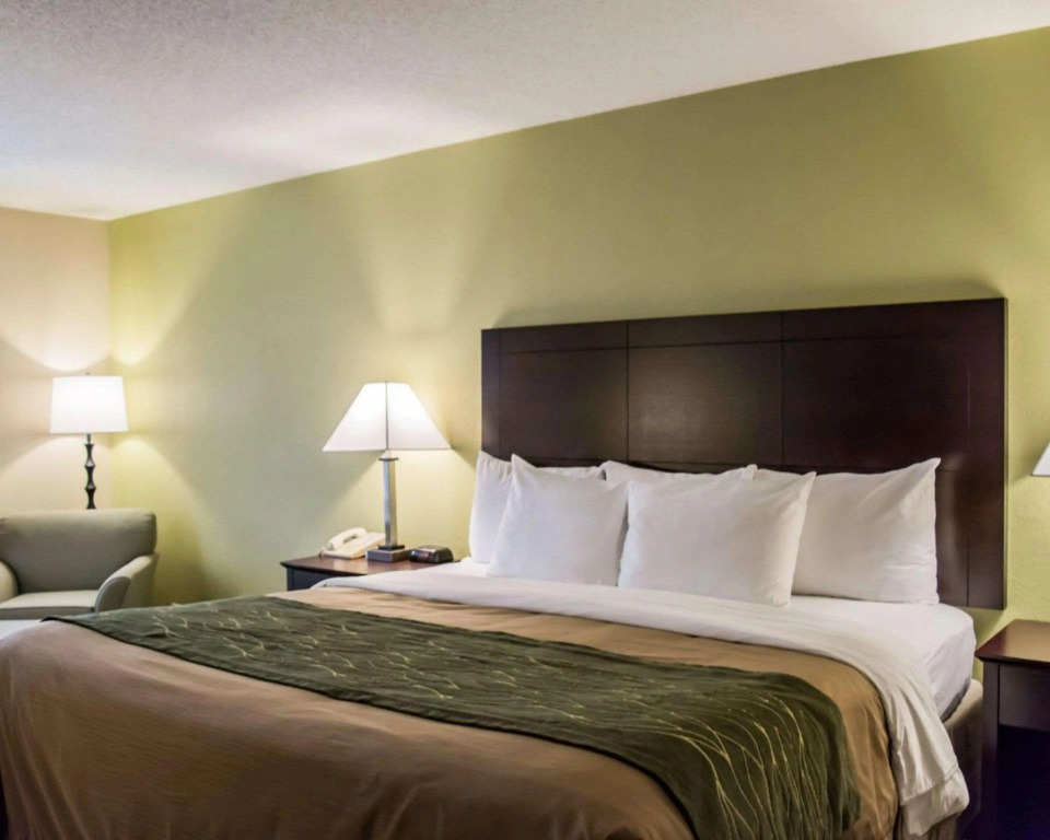 Comfort Inn & Suites St Pete - Clearwater International Airport