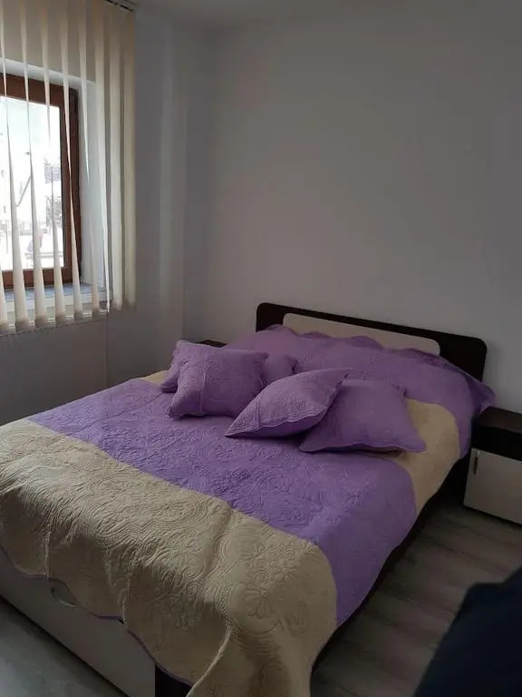 Apartament Mioritza 2A
