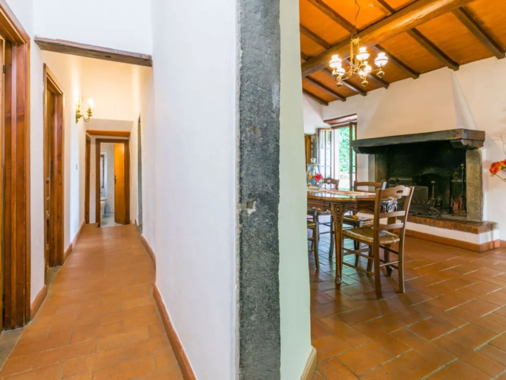 Podere Berrettino 29305