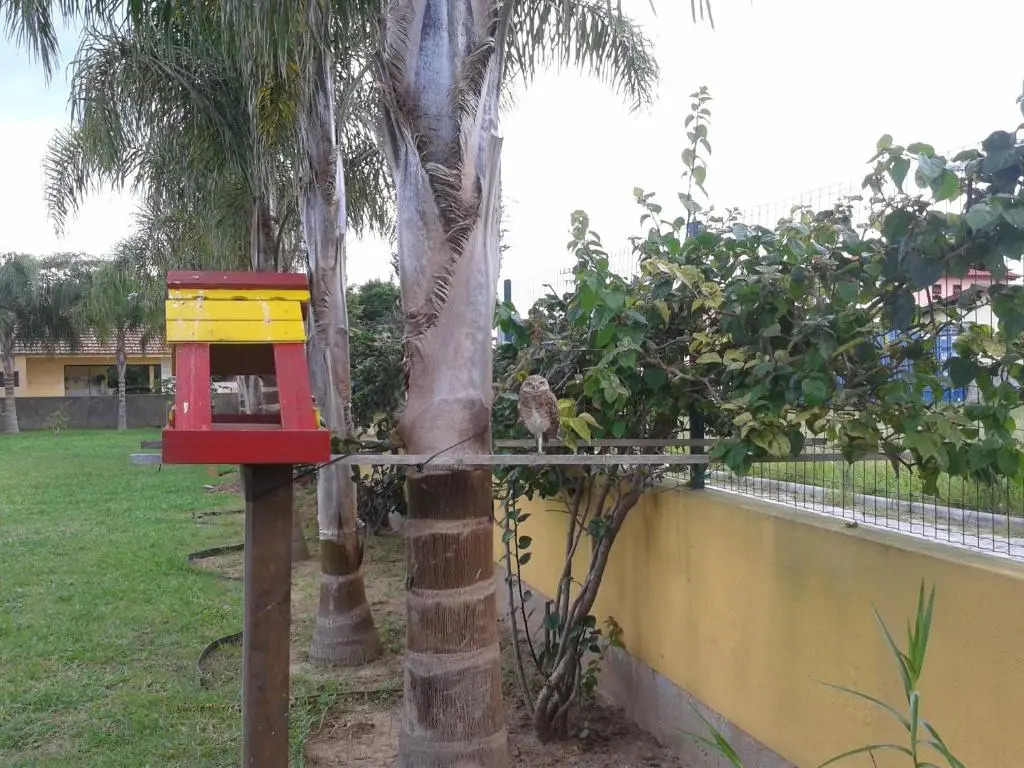 Paraíso do Santinho Apartamentos
