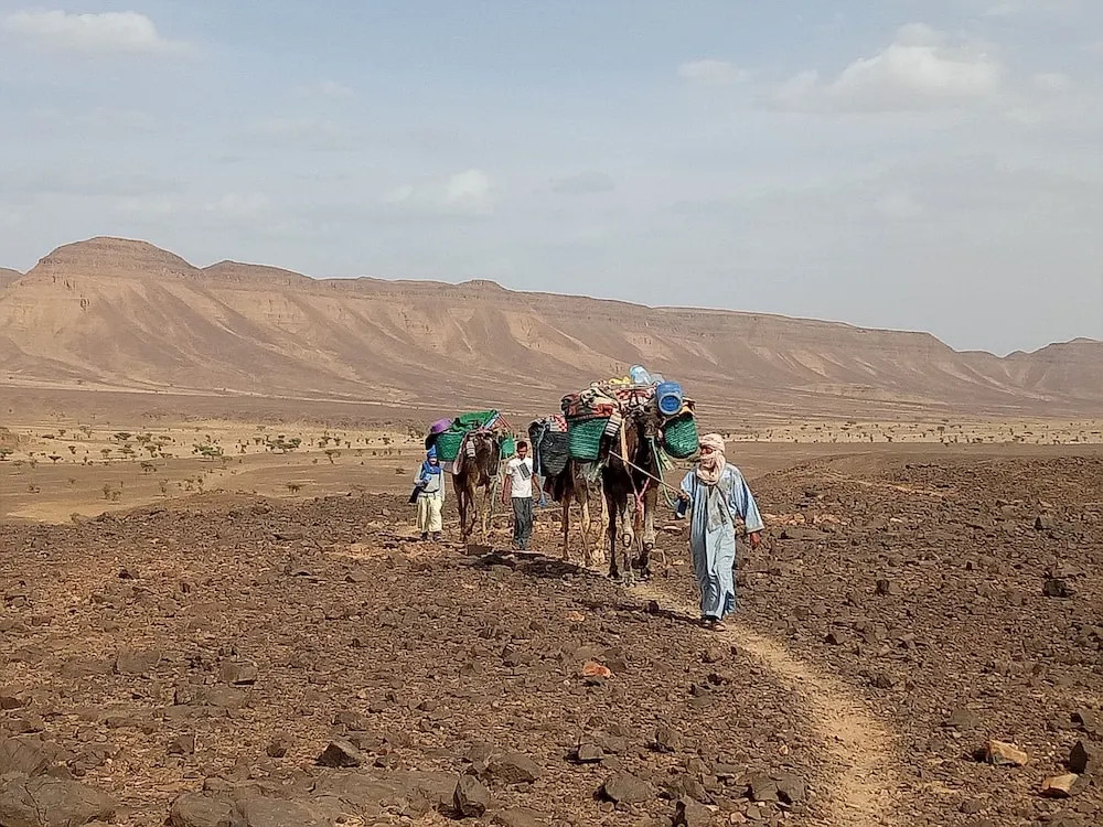 Sahara Peace
