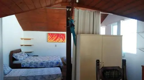 Tartaruga Azul