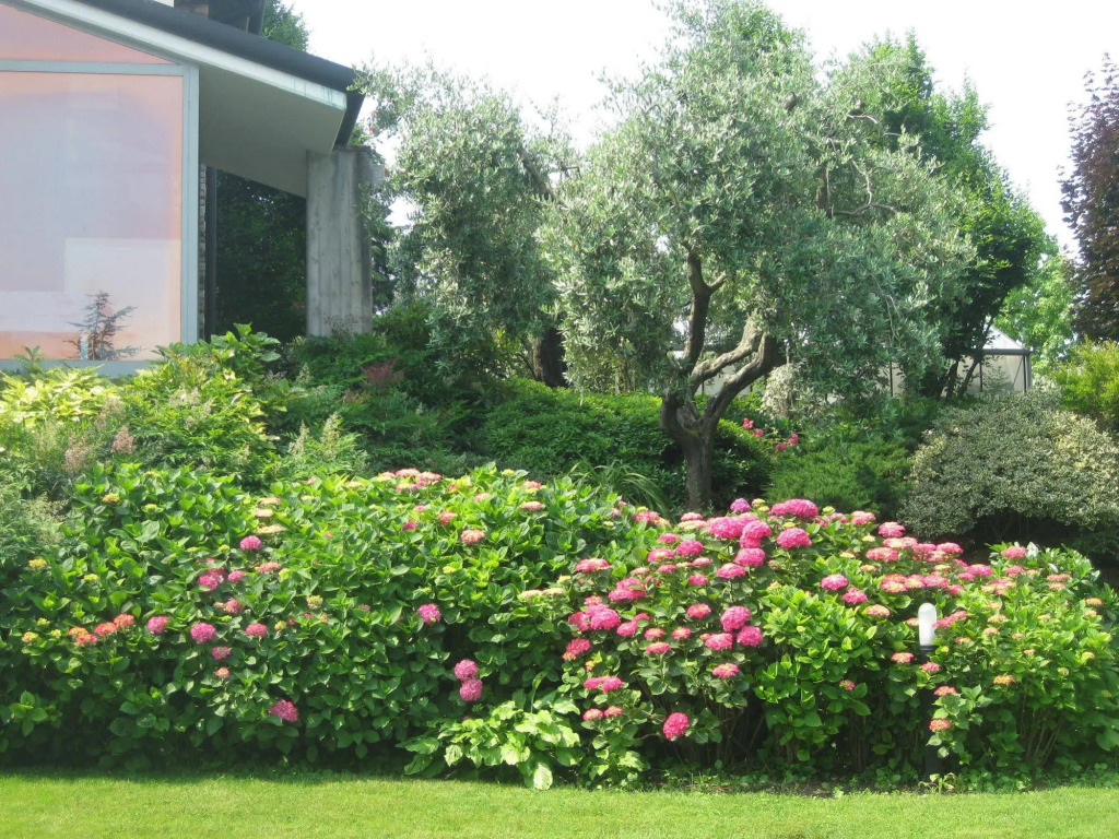 B&B Villa Adriano