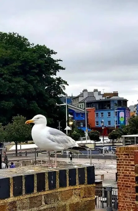 Beautifully appointed, period seaside apartment