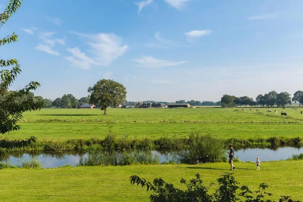 River lodge 4 persons - New in 2020