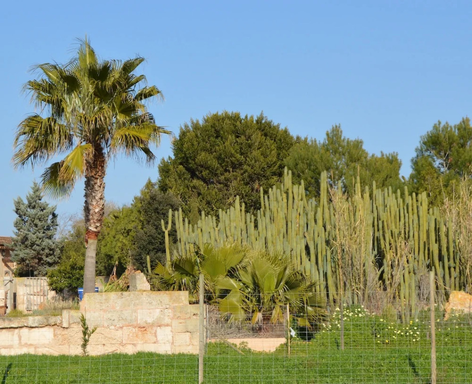 Agroturismo Son Llado