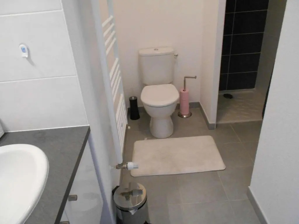 Appartement Le Grau-du-Roi, 2 pièces, 4 personnes - FR-1-250-175