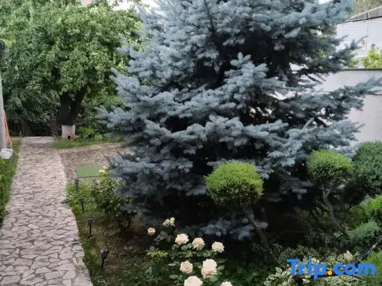 TabrisChina Vacation Rental