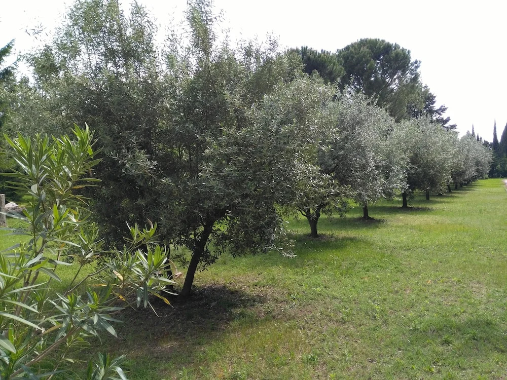 Rêve d’Emma