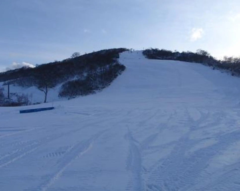 Yuzawa Ski House