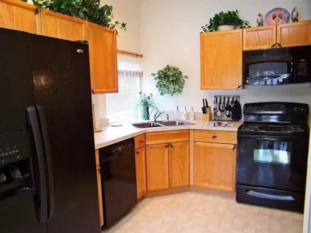 Fan Palm Holiday Home 4127