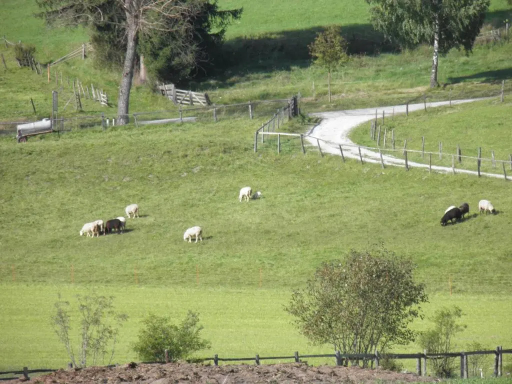 Ulnhof