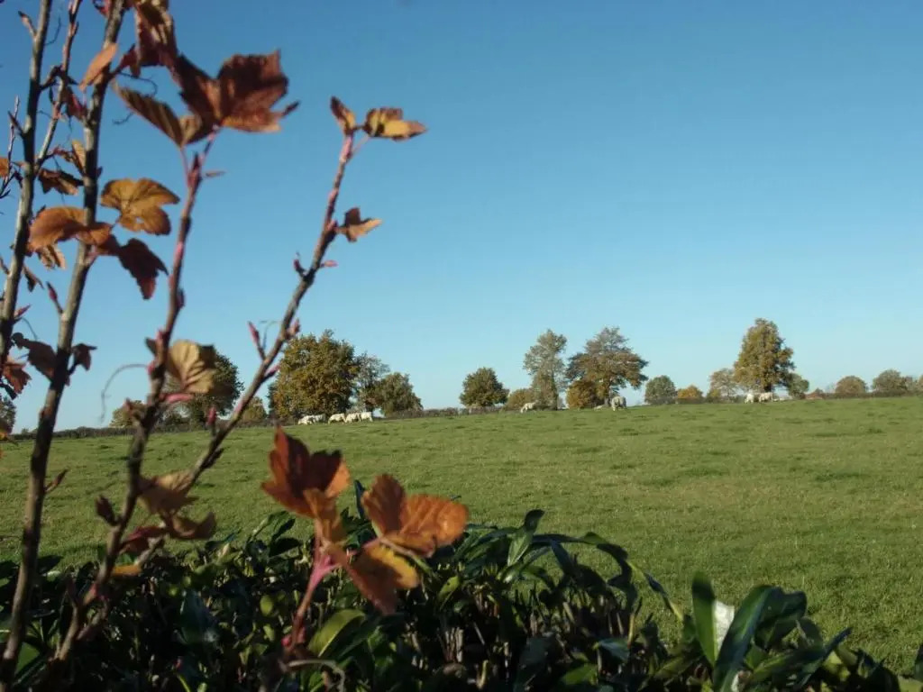 Fermette rénovée, animaux acceptés, internet, Montluçon proche - FR-1-489-83