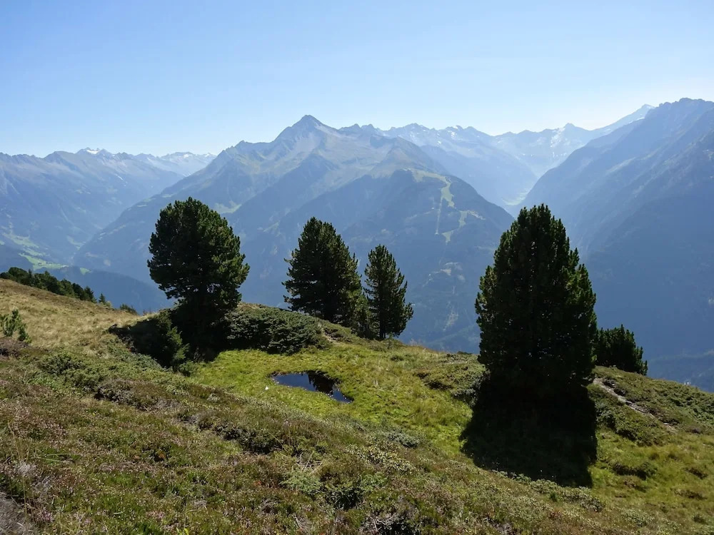 Scheulinghof