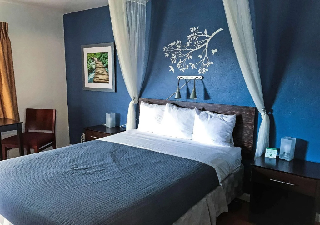 Americas Best Value Inn Golden Bear Inn
