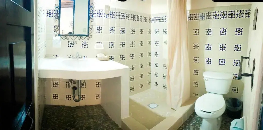 Hotel Villa de Flores