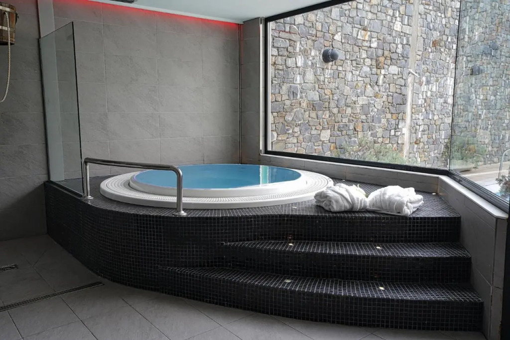 Zenit Diplomatic