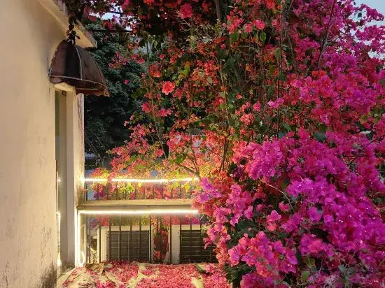 Shanfang Inn (Zhuhai Campus of Sun Yat-Sen University)