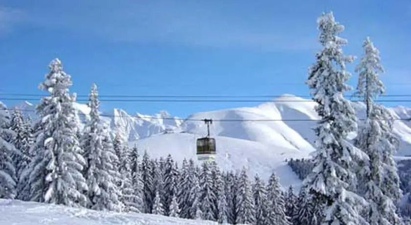 Résidence Pierre & Vacances Le Mont dArbois