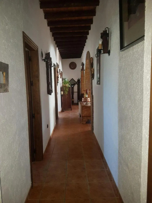 La chumbera
