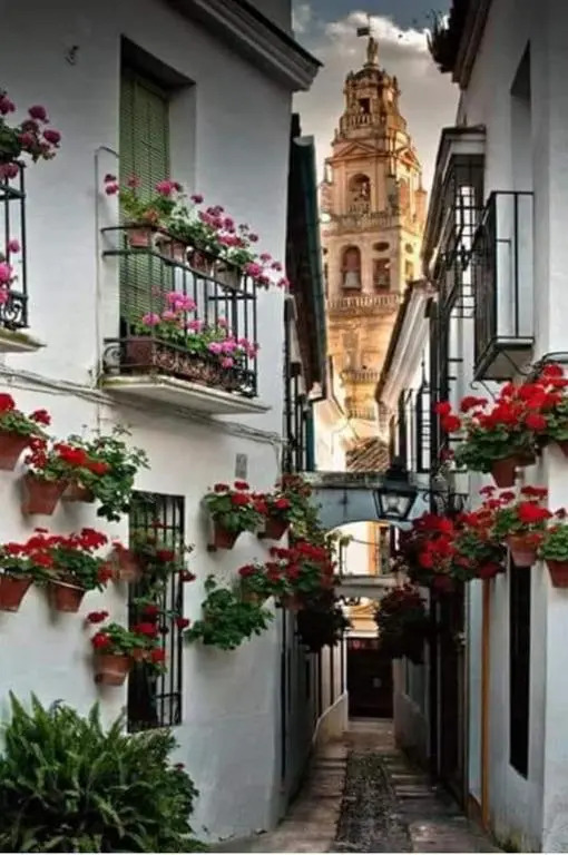 Apartamento con BBQ Los picadores
