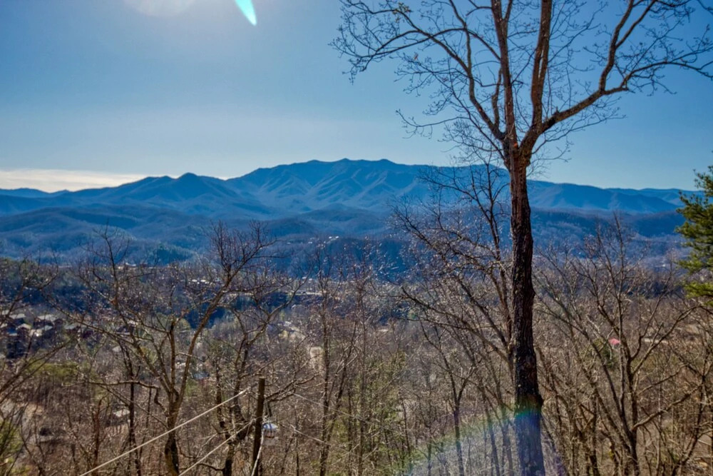 512blackbearlookspncb - Black Bear Lookout
