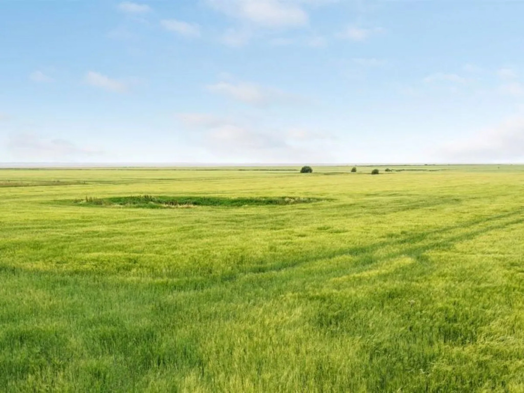 "Saga" in Western Jutland
