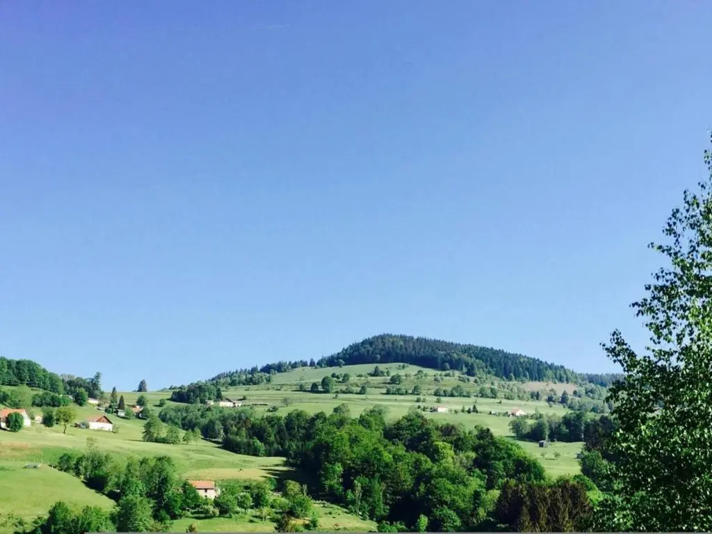 Gîte Fresse-sur-Moselle, 3 pièces, 6 personnes - FR-1-589-43