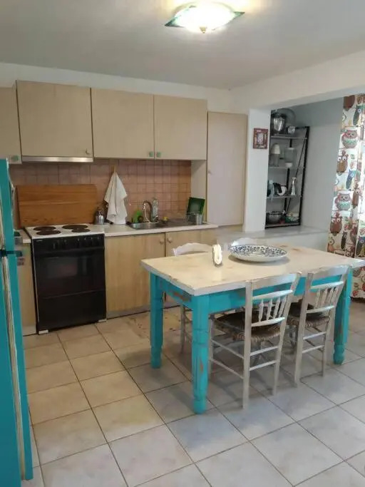 Christin P House with a large yard and parking