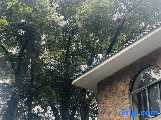 Lushan 1889 Inn (Lushan Cableway Lower Station Branch)