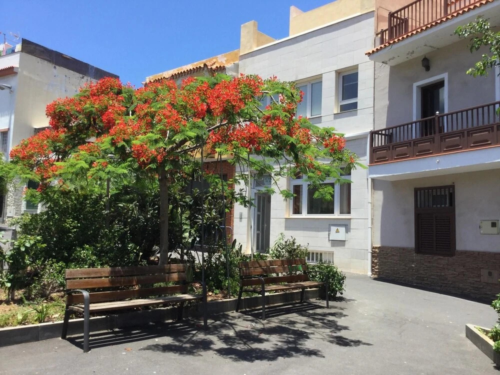 Apartment With 3 Bedrooms in Puerto de la Cruz, With Wifi - 300 m From the Beach