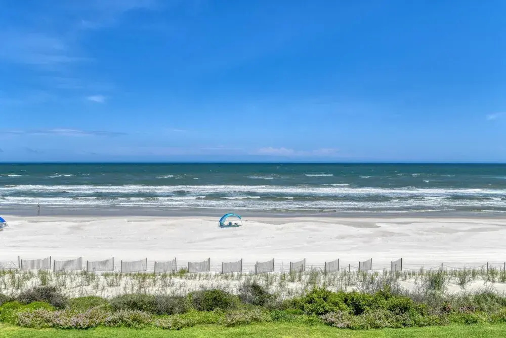 Sand Dollar 306