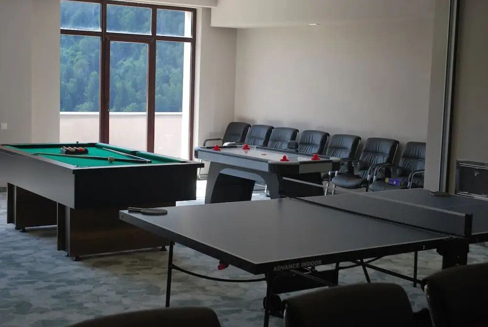 HOTEL CARPAT INN