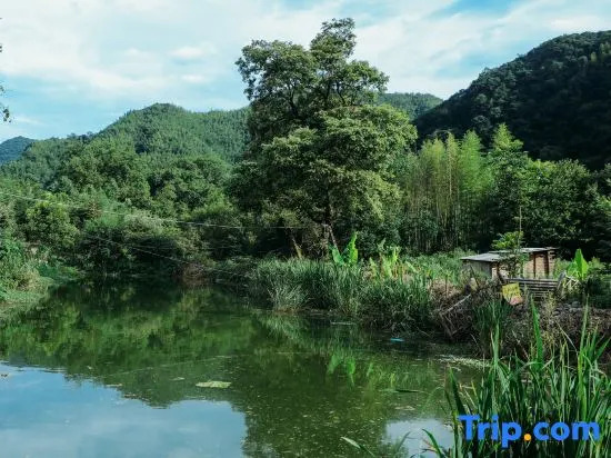 Xuancheng Jinguchun Farm stay