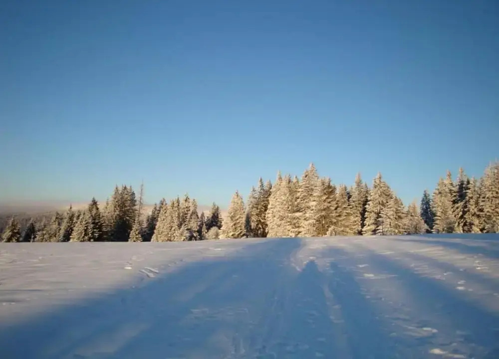 Ferienhaus im Bayerischen Wald