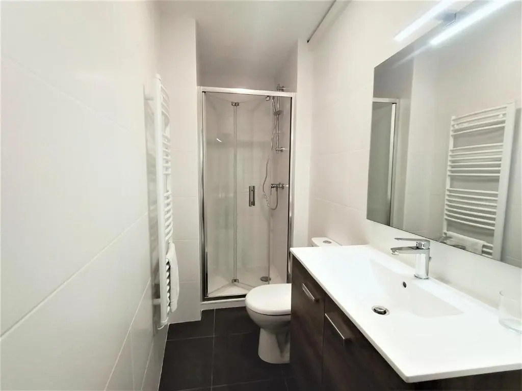 Studio Aix-les-Bains, 1 pièce, 1 personne - FR-1-555-55