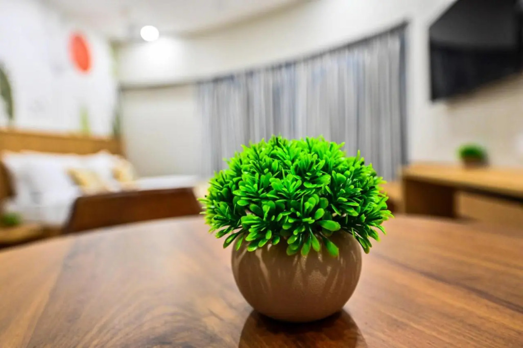 Indie Stays Studios, Chembur